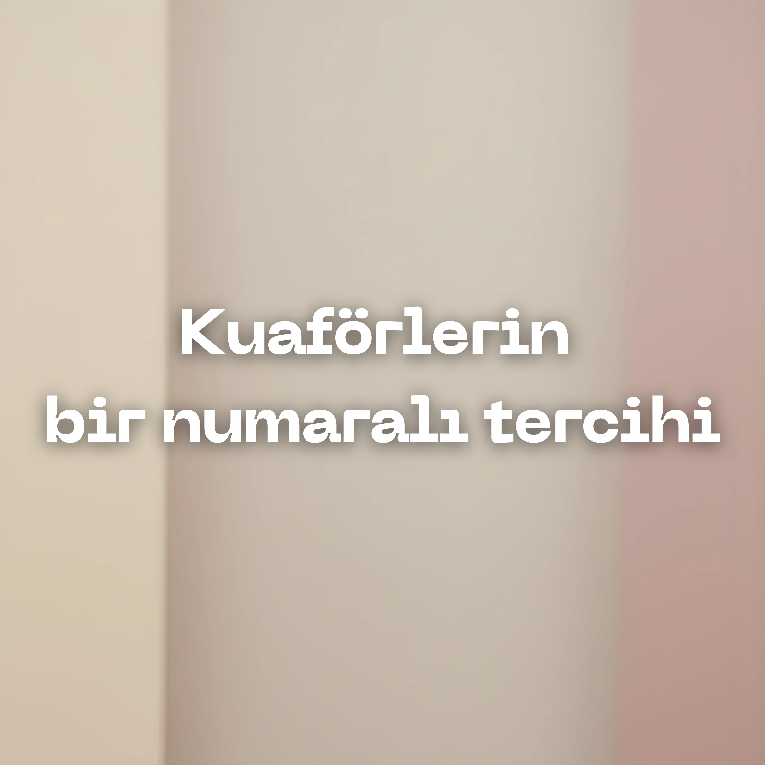 Professional 333 Tokalı Kırmızı Saç Fırçası